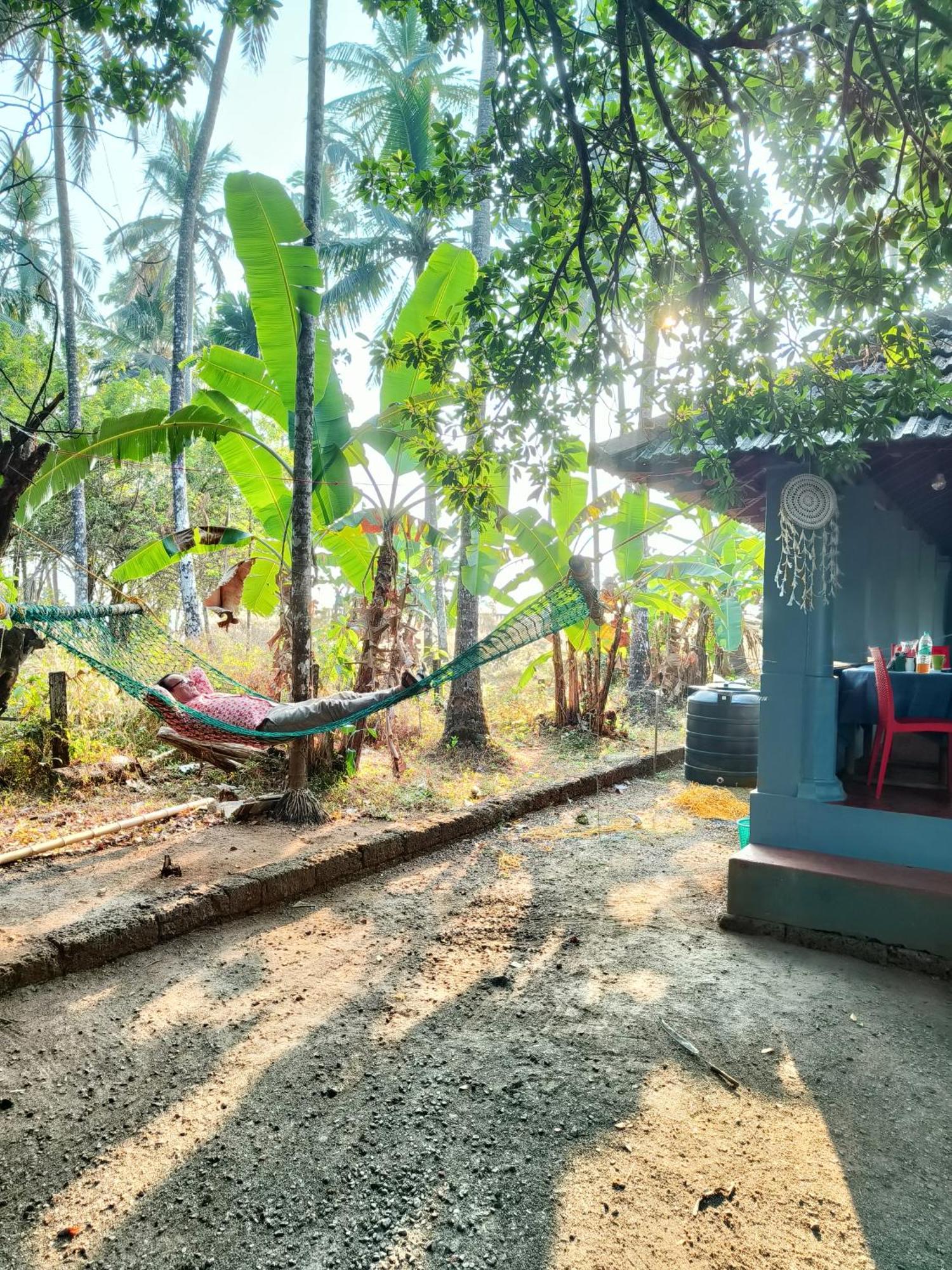 Perch Next Door Bed & Breakfast Канур Екстериор снимка
